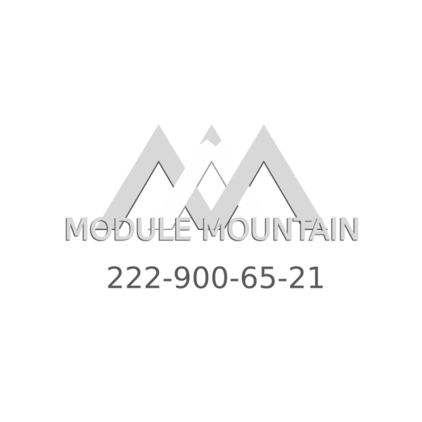 Control Module - Mercedes-Benz ( 222-900-65-21)
